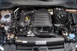 Seat Ibiza TGI 2017 года (WW)
